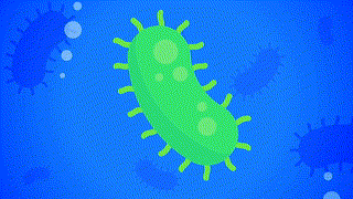 Adam - CE5 - Sommes nous seuls dans l'univers  R