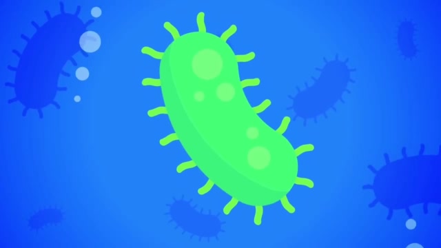 Adam - CE5 - Sommes nous seuls dans l'univers  R