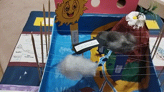 Ola - CE4 - N - Le cycle de l'eau