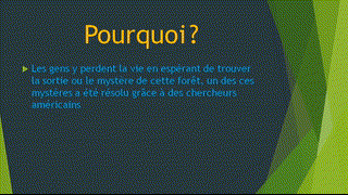 Amine & Yahya - CE5 - N - Le mystère de l'Amazonie