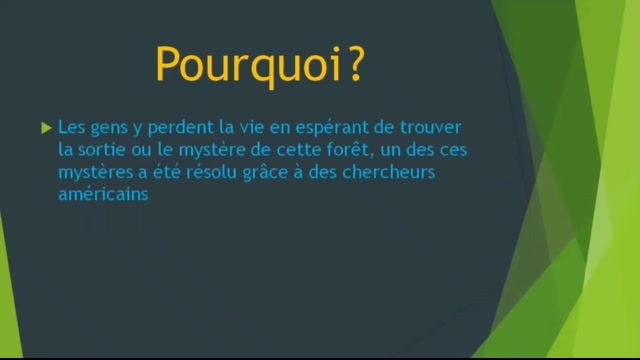 Amine & Yahya - CE5 - N - Le mystère de l'Amazonie