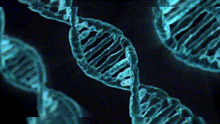 Elias - 2AC - Le clonage -R