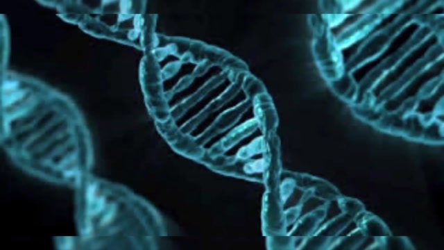 Elias - 2AC - Le clonage -R