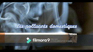 Adam - 2AC -La pollution de l'air - R