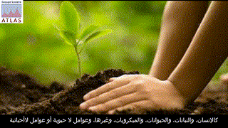 Anass - 2AC- La nature - R