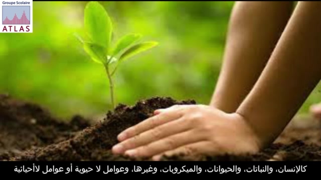 Anass - 2AC- La nature - R