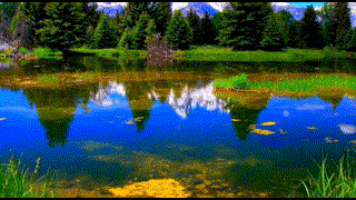 Fahd Ilyas - 2AC - La nature - R