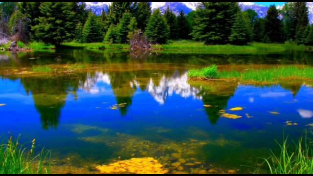 Fahd Ilyas - 2AC - La nature - R