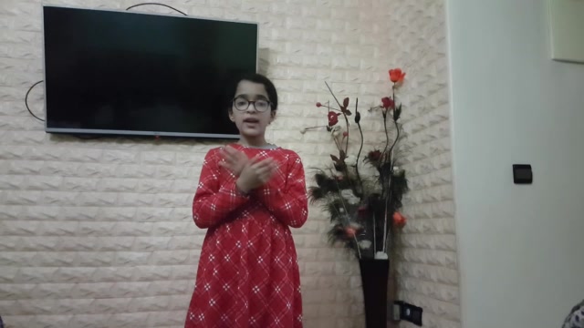 Salma - CE4 - T - Vivant vs non vivant