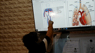 CE3 - T - La respiration
