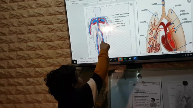 CE3 - T - La respiration