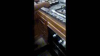 Alae - CE6 - Cupcake - R