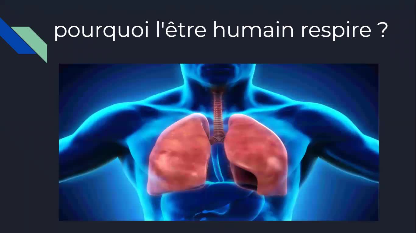 Youssef & Redouan - CE5  - La respiration - N