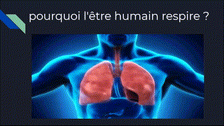 Youssef & Redouan - CE5  - La respiration - N