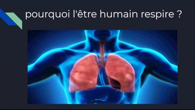 Youssef & Redouan - CE5  - La respiration - N