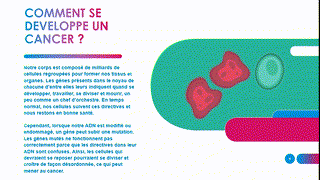 Yahya Saad Hamza Mohamed - 2AC - Les cancers - R