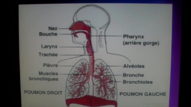 Amr - CE5 - La respiration - N