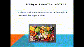 Ghali - CE5 - l'alimentation - R