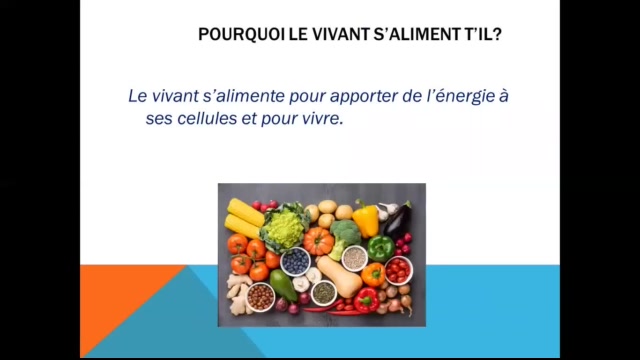 Ghali - CE5 - l'alimentation - R