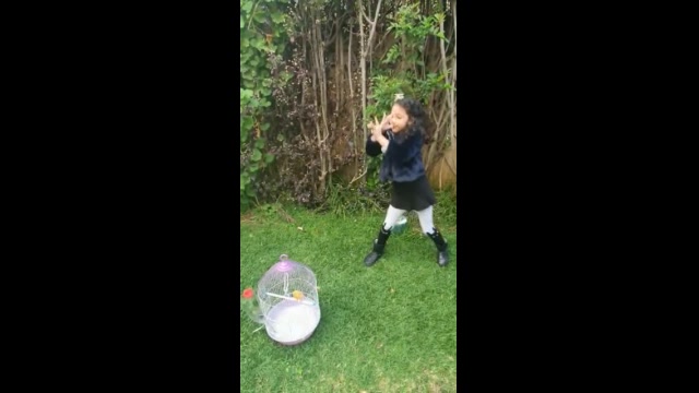 Lilya - CE2 - Have you got a pet - R