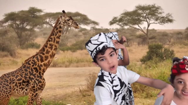 Tamesna - PS MS -Tanzanie