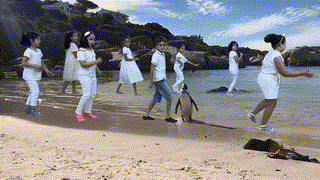 Rabat - CE2 - Afrique du Sud